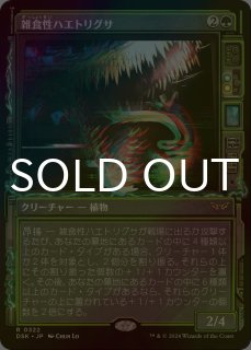 FOIL] ベイルマークの大主/Overlord of the Balemurk (ジャパン