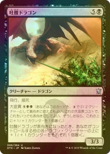 画像1: [FOIL] 吐酸ドラゴン/Acid-Spewer Dragon 【日本語版】 [DTK-黒U] (1)