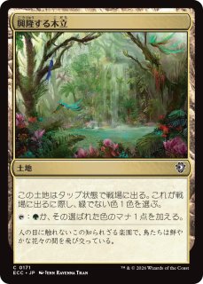 神河:輝ける世界 日本語版 プレリリースパック 1BOX - シングルスター
