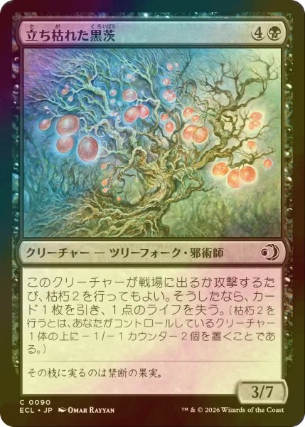 画像1: [FOIL] 立ち枯れた黒茨/Blighted Blackthorn 【日本語版】 [ECL-黒C] (1)