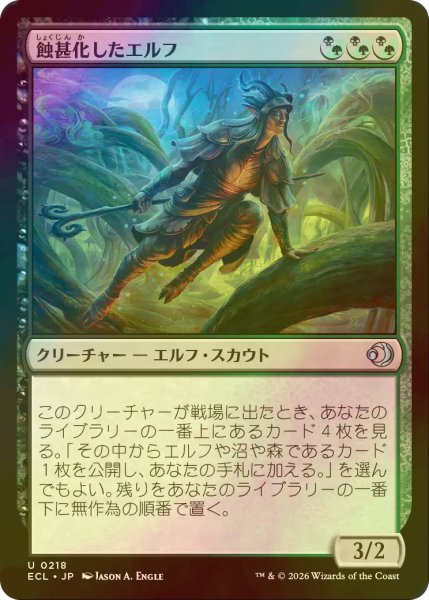 画像1: [FOIL] 蝕甚化したエルフ/Eclipsed Elf 【日本語版】 [ECL-金U] (1)