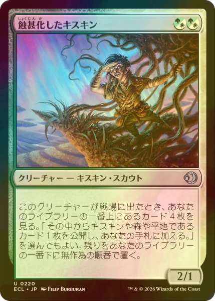 画像1: [FOIL] 蝕甚化したキスキン/Eclipsed Kithkin 【日本語版】 [ECL-金U] (1)
