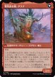 画像2: 名高き女族長、グラブ/Grub, Storied Matriarch 【日本語版】 [ECL-黒R] (2)