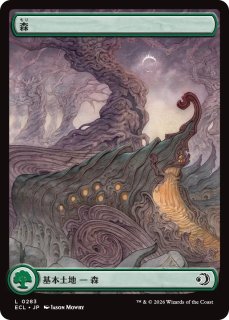 ICE 4ED等 指定エキスパンション 基本土地 基本地形 コンプリート×3 MTG 英語 基本地形 基本土地 全コンプリート 3ED〜LCI コレクション向