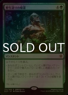 MTG M14 カロニアのハイドラ ロシア語版 foil Kalonian Hydra | Magic