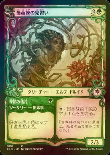 画像1: [FOIL] 薔薇棘の見習い/Rosethorn Acolyte (ショーケース版) 【日本語版】 [ELD-緑C] (1)