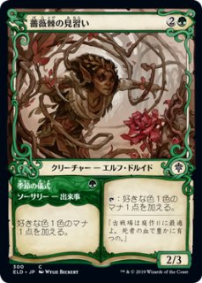 エルフの神秘家/Elvish Mystic 【日本語版】 [M15-緑C] - シングルスター