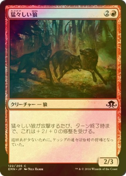 画像1: [FOIL] 猛々しい狼/Brazen Wolves 【日本語版】 [EMN-赤C] (1)