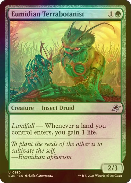 画像1: [FOIL] ユーミディアンの惑星植物学者/Eumidian Terrabotanist 【英語版】 [EOE-緑U]*詳細要確認 (1)