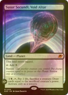 foil　暗黒/Darkness　2枚 foil 暗黒/Darkness 2枚 マジック：ザ・ギャザリング
