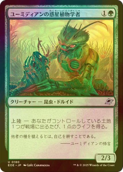 画像1: [FOIL] ユーミディアンの惑星植物学者/Eumidian Terrabotanist 【日本語版】 [EOE-緑U]*詳細要確認 (1)