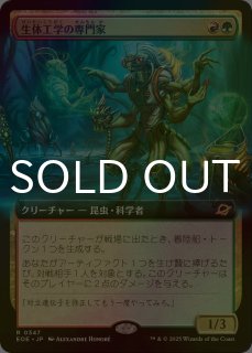 特価品 - シングルスター