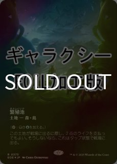 繁殖池 - シングルスター