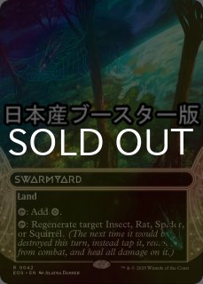 FOIL] ファイレクシアの闘技場/Phyrexian Arena 【英語版】 [FDN-黒R