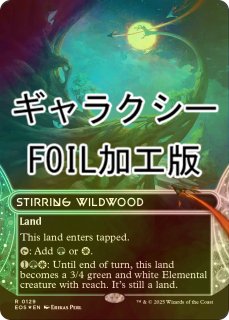 湿地の干潟 日本語　ドラゴンスケイル　FOIL ドラゴンスケイル・Foil】(115)□ボーダーレス□《湿地の干潟