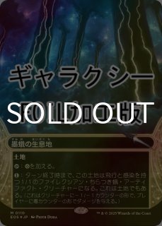 FOIL] エルドラージの寺院/Eldrazi Temple No.104 (ショーケース版