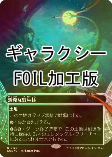 画像1: [FOIL] 活発な野生林/Stirring Wildwood No.129 (ショーケース版・ギャラクシー仕様) 【日本語版】 [EOS-土地R]*詳細要確認 (1)