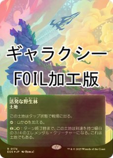 FOIL] サイクロンの裂け目/Cyclonic Rift (全面アート版・シルバー