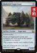 画像1: ダークスティールの巨大戦車/Darksteel Juggernaut 【英語版】 [FDC-灰R] (予約I) (1)