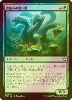 FOIL] 水の技の達人、カタラ/Katara, Waterbending Master 【日本語版