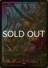 クーポン対象外 - シングルスター (Page 9)