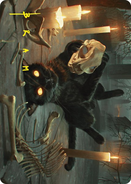 画像1: 九生の使い魔/Nine-Lives Familiar No.008 (箔押し版) 【英語版】 [FDN-アート] (1)