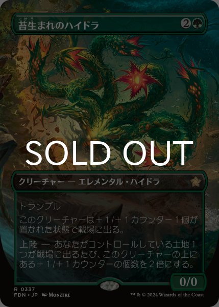 MTG 苔生まれのハイドラ 4枚セット　日本語 苔生まれのハイドラ [FDN] 【BIGWEB | MTG】日本最大級の激安