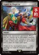 画像1: 幻獣を魔石に/Espers to Magicite 【英語版】 [FIC-黒R] (予約R) (1)