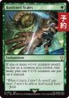 画像1: 硬化した鱗/Hardened Scales 【英語版】 [FIC-緑R] (予約R) (1)