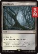 画像1: 悪臭の荒野/Fetid Heath 【英語版】 [FIC-土地R] (予約R) (1)