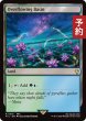 画像1: 溢れ出た区画/Overflowing Basin 【英語版】 [FIC-土地R] (予約R) (1)