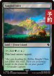 画像1: 絡みつく島嶼域/Tangled Islet 【英語版】 [FIC-土地C] (予約R) (1)
