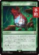 画像1: 星の深淵/Lifestream's Blessing 【日本語版】 [FIC-緑R] (予約R) (1)