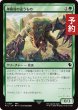 画像1: 薄暮殻の這うもの/Duskshell Crawler 【日本語版】 [FIC-緑C] (予約R) (1)
