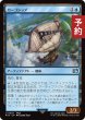 画像1: カーゴシップ/Cargo Ship 【日本語版】 [FIN-青U] (予約S) (1)