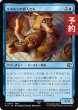 画像1: キキルンの商人たち/Qiqirn Merchant 【日本語版】 [FIN-青C] (予約R) (1)
