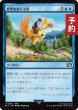画像1: 世界をめぐる旅/Travel the Overworld 【日本語版】 [FIN-青U] (予約S) (1)