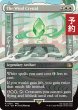 画像1: 風のクリスタル/The Wind Crystal (全面アート版) 【英語版】 [FIN-白R] (予約R) (1)