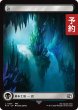 画像1: 沼/Swamp No.301 (全面アート版) 【日本語版】 [FIN-土地C] (予約R) (1)