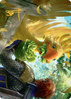 Bundle限定品【21枚セット】新品未使用　拡張アート　FOIL　英語版 Amazon.co.jp: マジック：ザ・ギャザリング