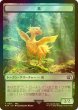 画像2: [FOIL] ウィザード/Wizard No.015 & 鳥/Bird No.017 【日本語版】 [FIN-トークン] (2)