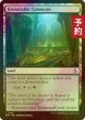 画像1: [FOIL] 畏怖の広場/Formidable Commons 【英語版】 [FRA-土地C] (予約I) (1)