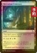画像1: [FOIL] 詳細の広場/Meticulous Commons 【英語版】 [FRA-土地C] (予約I) (1)