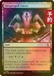 画像1: [FOIL] スティンガークイル別館/Stingerquill Annex 【英語版】 [FRA-土地C] (予約I) (1)