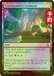 画像1: [FOIL] 変容の広場/Transformative Commons 【英語版】 [FRA-土地C] (予約I) (1)