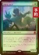 画像1: [FOIL] タルモゴイフ/Tarmogoyf (海外産ブースター版) 【日本語版】 [FRA-緑MR] (予約I) (1)