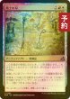 画像1: [FOIL] 戦士の刃/Warrior's Blades 【日本語版】 [FRA-金U] (予約I) (1)