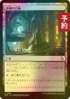 画像1: [FOIL] 詳細の広場/Meticulous Commons 【日本語版】 [FRA-土地C] (予約I) (1)