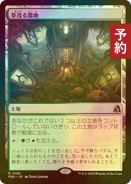 画像1: [FOIL] 草茂る農地/Overgrown Farmland 【日本語版】 [FRA-土地R] (予約I) (1)