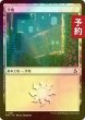 画像1: [FOIL] 平地/Plains No.281 【日本語版】 [FRA-土地C] (予約I) (1)